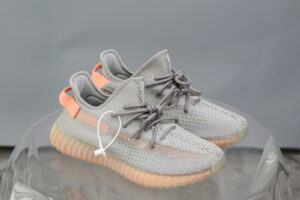 Yeezy Boost 350 V2 True Form 2019