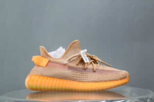 Yeezy Boost 350 V2 Clay 2019